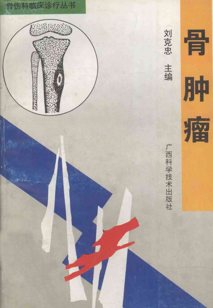 骨伤科临床诊疗丛书  骨肿癌